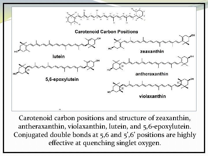 Carotenoid carbon positions and structure of zeaxanthin, antheraxanthin, violaxanthin, lutein, and 5, 6 -epoxylutein.