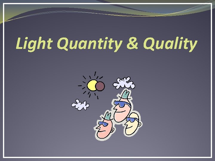 Light Quantity & Quality 