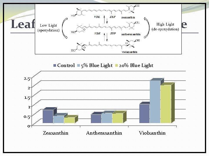 Leaf Tissue Xanthophyll Cycle Control 5% Blue Light 20% Blue Light 2. 5 2