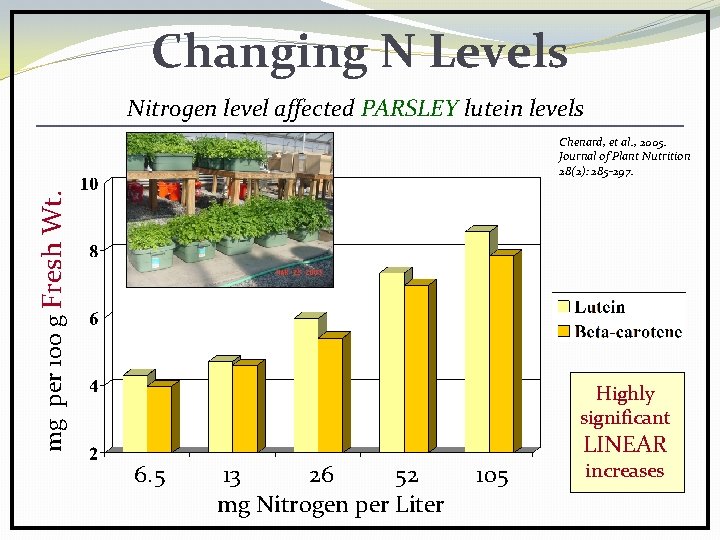 Changing N Levels Nitrogen level affected PARSLEY lutein levels mg per 100 g Fresh