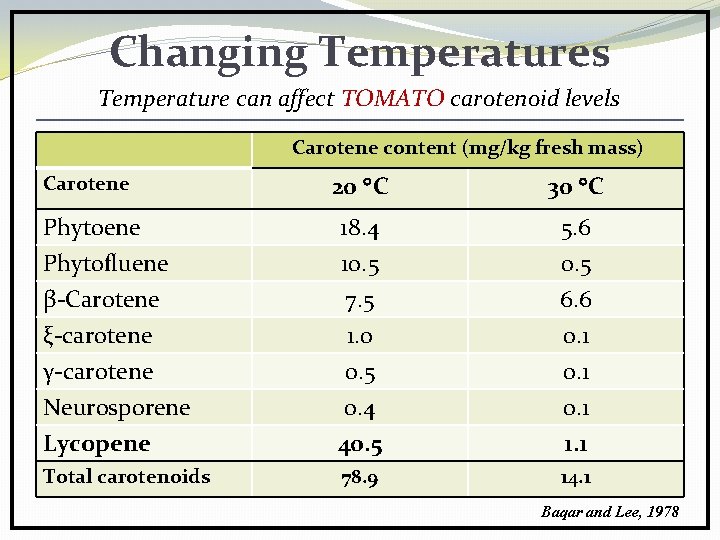 Changing Temperatures Temperature can affect TOMATO carotenoid levels Carotene content (mg/kg fresh mass) 20