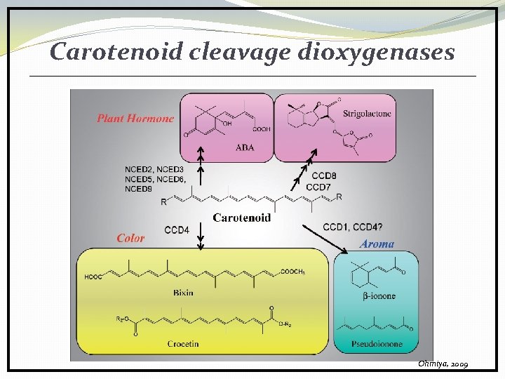 Carotenoid cleavage dioxygenases Ohmiya, 2009 