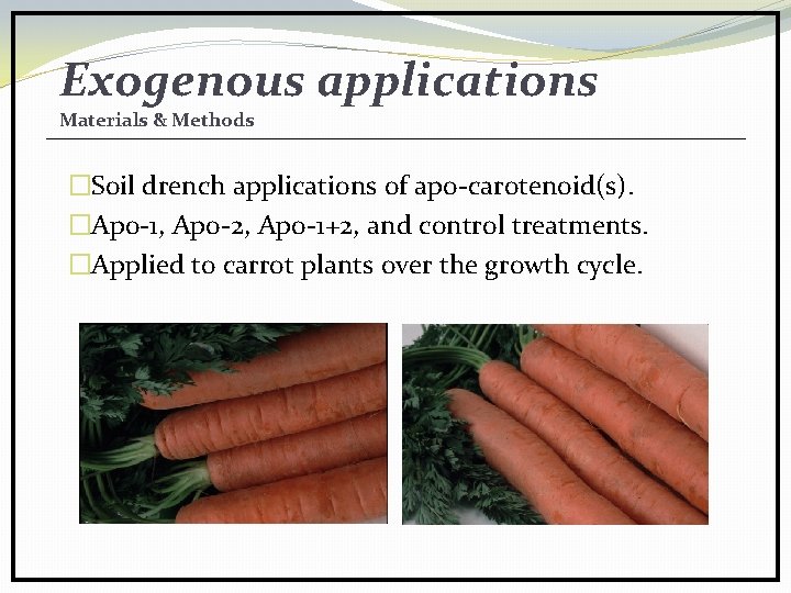 Exogenous applications Materials & Methods �Soil drench applications of apo-carotenoid(s). �Apo-1, Apo-2, Apo-1+2, and