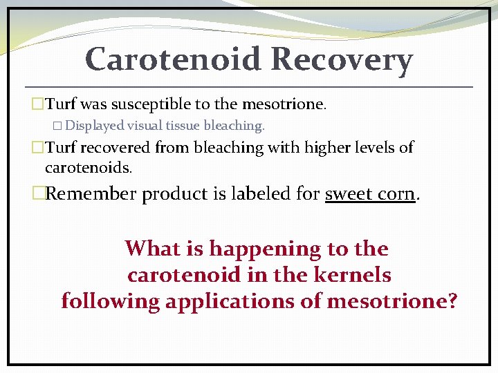 Carotenoid Recovery �Turf was susceptible to the mesotrione. � Displayed visual tissue bleaching. �Turf