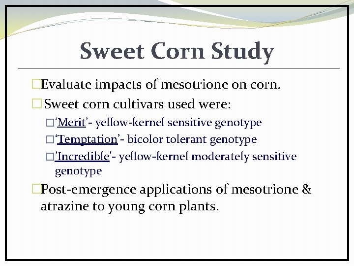 Sweet Corn Study �Evaluate impacts of mesotrione on corn. � Sweet corn cultivars used