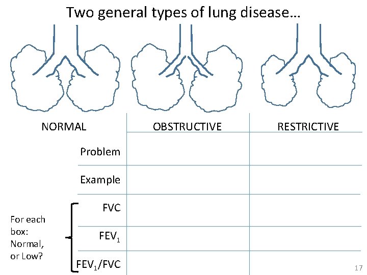 Two general types of lung disease… NORMAL OBSTRUCTIVE RESTRICTIVE Problem Example For each box: