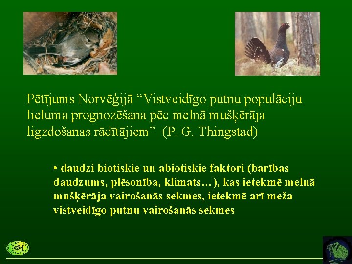 Pētījums Norvēģijā “Vistveidīgo putnu populāciju lieluma prognozēšana pēc melnā mušķērāja ligzdošanas rādītājiem” (P. G.