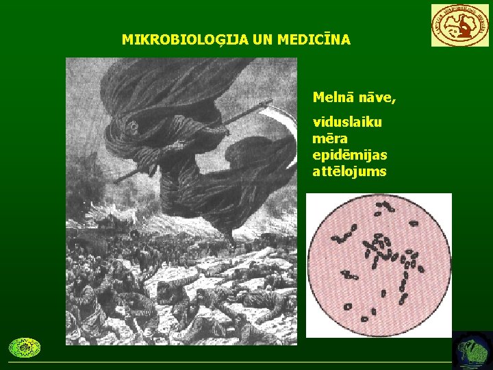 MIKROBIOLOĢIJA UN MEDICĪNA Melnā nāve, viduslaiku mēra epidēmijas attēlojums 