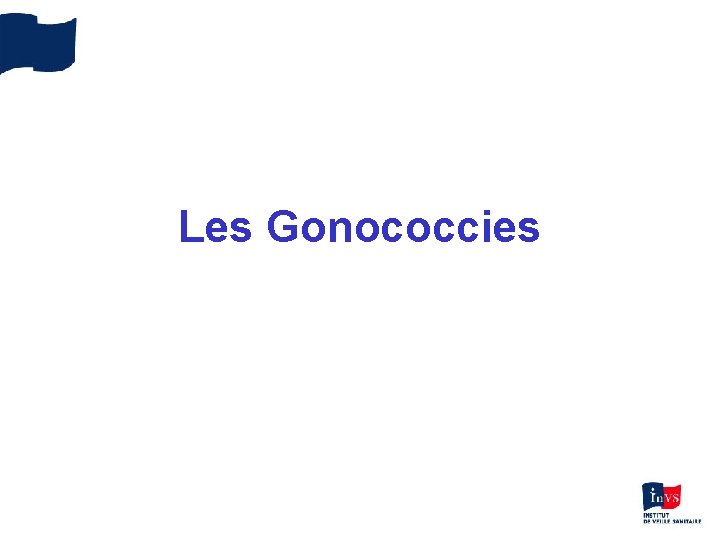 Les Gonococcies 