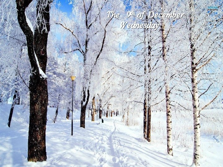 The 9 th of December Wednesday 