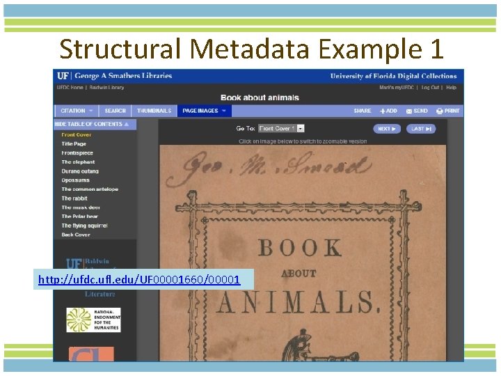 Structural Metadata Example 1 http: //ufdc. ufl. edu/UF 00001660/00001 