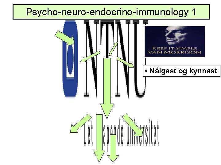 Psycho-neuro-endocrino-immunology 1 • Nálgast og kynnast 