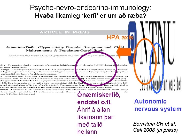 Psycho-nevro-endocrino-immunology: Hvaða líkamleg ‘kerfi’ er um að ræða? HPA axis Ónæmiskerfið, endotel o. fl.