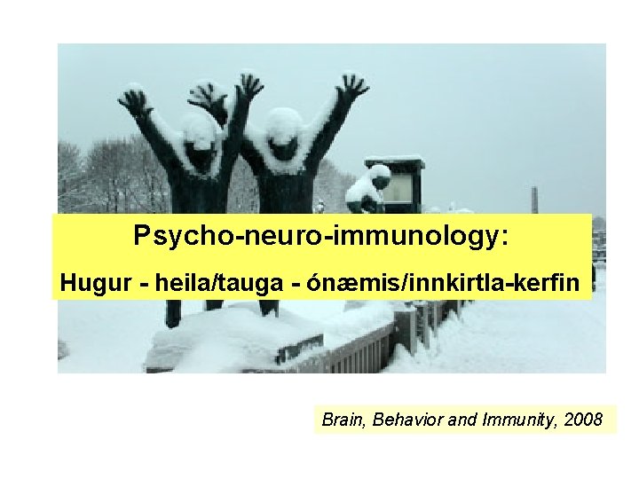 Psycho-neuro-immunology: Hugur - heila/tauga - ónæmis/innkirtla-kerfin Brain, Behavior and Immunity, 2008 