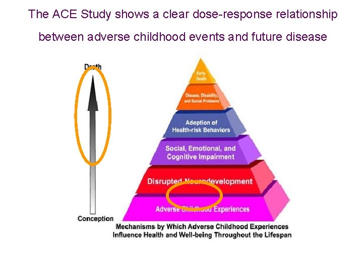 The ACE Study shows a clear dose-response relationship between adverse childhood events and future