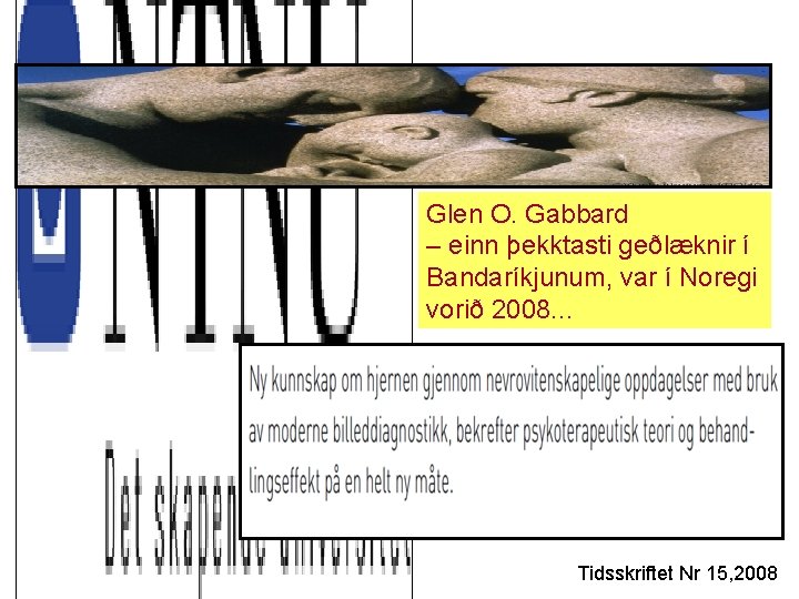 Glen O. Gabbard – einn þekktasti geðlæknir í Bandaríkjunum, var í Noregi vorið 2008.