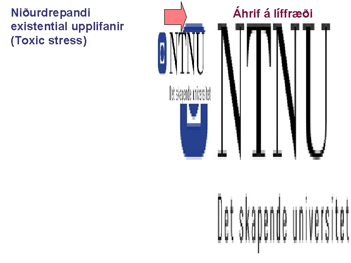 Niðurdrepandi existential upplifanir (Toxic stress) Áhrif á líffræði 