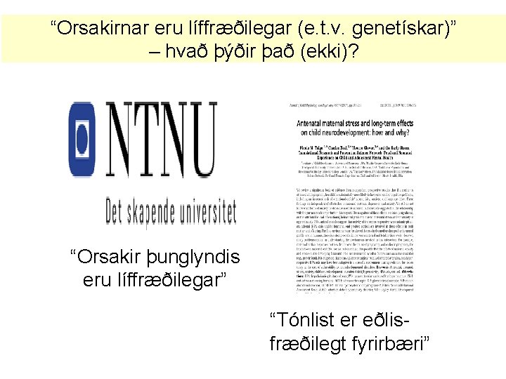 “Orsakirnar eru líffræðilegar (e. t. v. genetískar)” – hvað þýðir það (ekki)? “Orsakir þunglyndis
