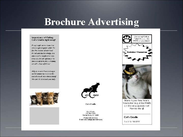 Brochure Advertising 