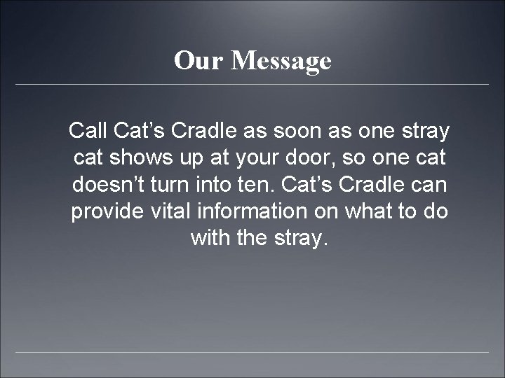 Our Message Call Cat’s Cradle as soon as one stray cat shows up at