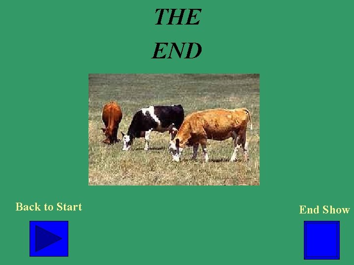 THE END Back to Start End Show 