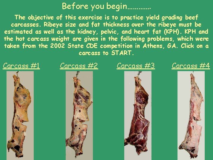 Before you begin…………. The objective of this exercise is to practice yield grading beef