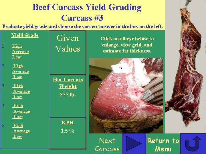 Beef Carcass Yield Grading Carcass #3 Evaluate yield grade and choose the correct answer