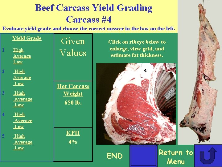 Beef Carcass Yield Grading Carcass #4 Evaluate yield grade and choose the correct answer