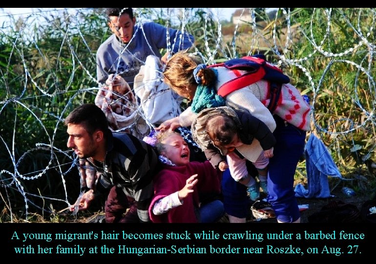 A young migrant's hair becomes stuck while crawling under a barbed fence with her