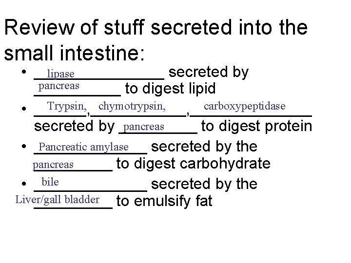 Review of stuff secreted into the small intestine: • ________ secreted by lipase pancreas