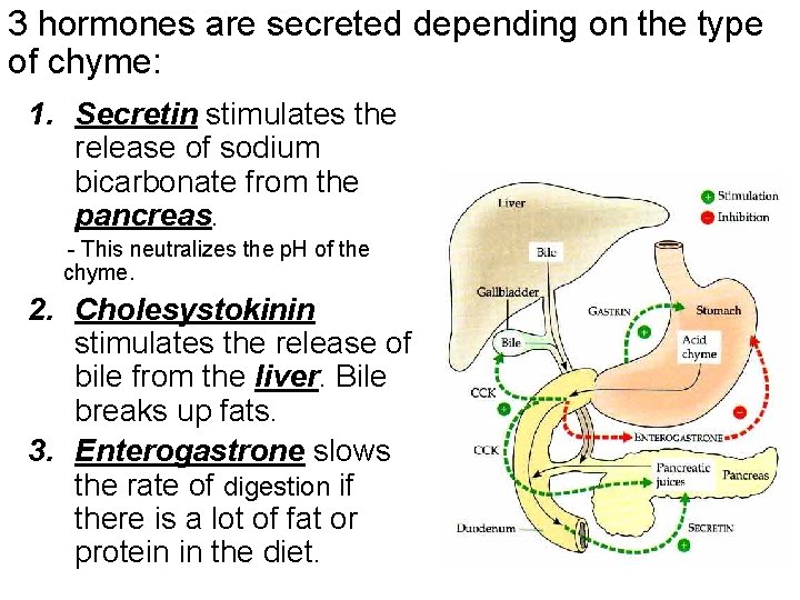 3 hormones are secreted depending on the type of chyme: 1. Secretin stimulates the