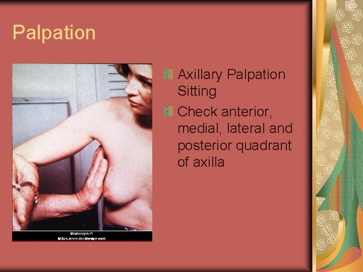 Palpation Axillary Palpation Sitting Check anterior, medial, lateral and posterior quadrant of axilla 