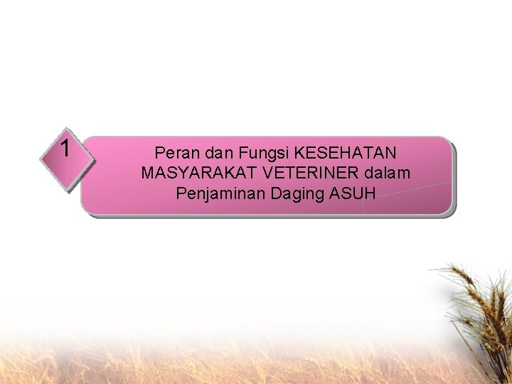 1 Peran dan Fungsi KESEHATAN MASYARAKAT VETERINER dalam Penjaminan Daging ASUH 