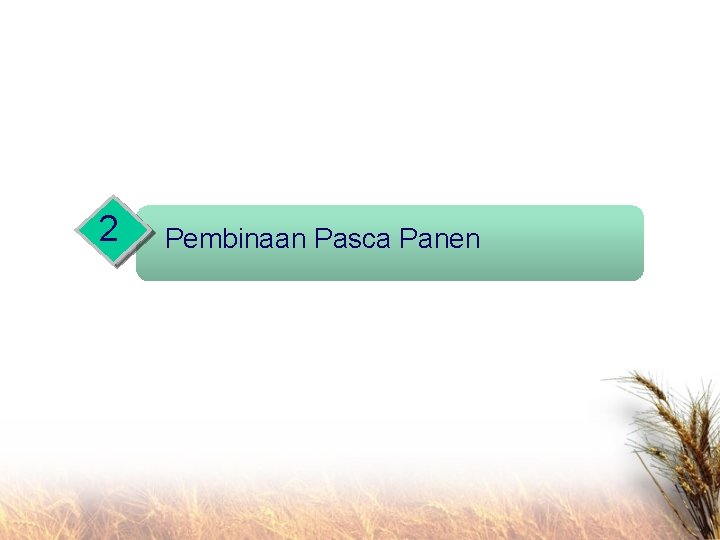 2 Pembinaan Pasca Panen 