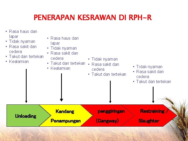 PENERAPAN KESRAWAN DI RPH-R • Rasa haus dan lapar • Tidak nyaman • Rasa