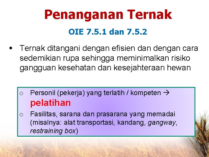 Penanganan Ternak OIE 7. 5. 1 dan 7. 5. 2 § Ternak ditangani dengan