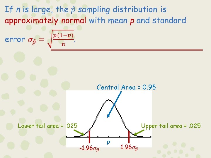– Central Area = 0. 95 Lower tail area =. 025 Upper tail area