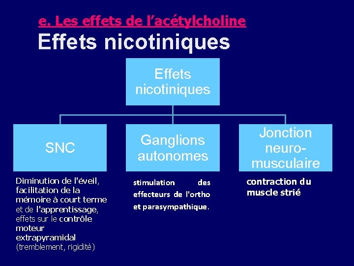 e. Les effets de l’acétylcholine Effets nicotiniques SNC Diminution de l'éveil, facilitation de la