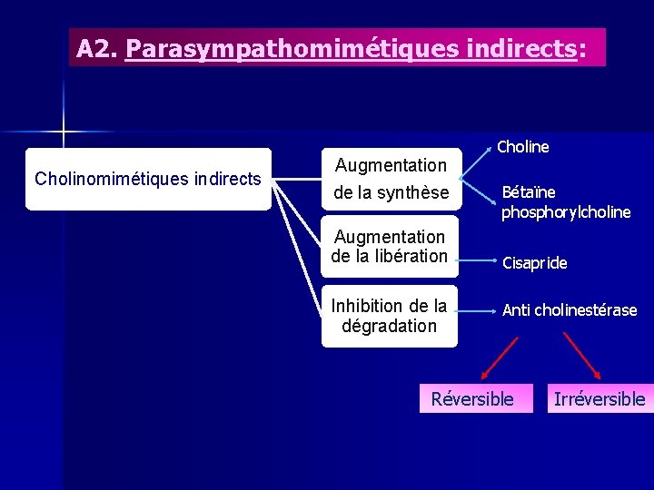 A 2. Parasympathomimétiques indirects: Cholinomimétiques indirects Augmentation de la synthèse Augmentation de la libération