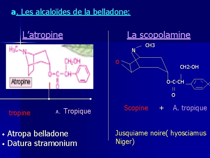 a. Les alcaloïdes de la belladone: L’atropine La scopolamine N CH 3 O CH