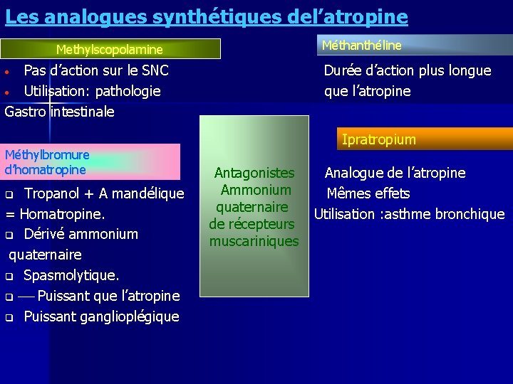 Les analogues synthétiques del’atropine Méthanthéline Methylscopolamine Pas d’action sur le SNC • Utilisation: pathologie