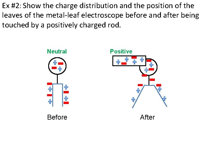 Ex #2: Show the charge distribution and the position of the leaves of the