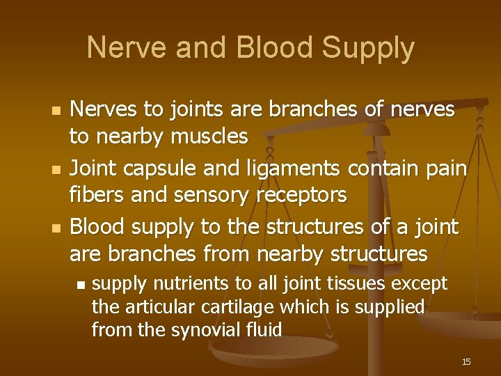 Nerve and Blood Supply n n n Nerves to joints are branches of nerves