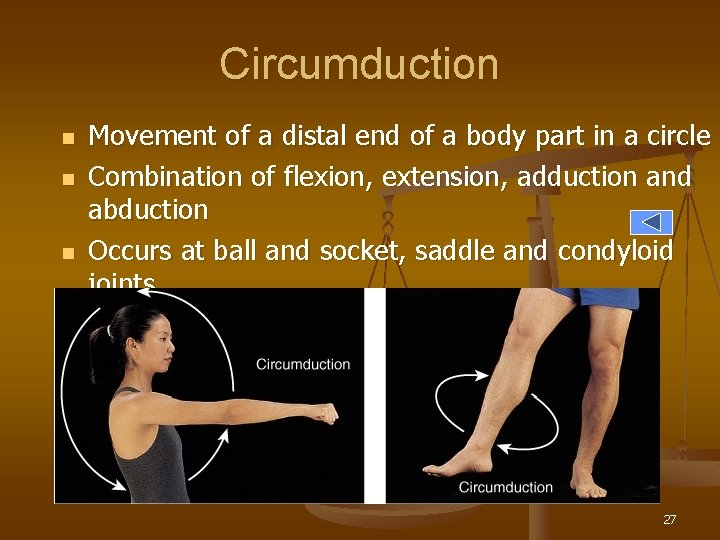 Circumduction n Movement of a distal end of a body part in a circle