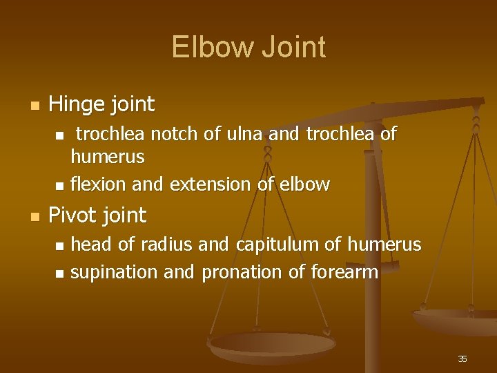 Elbow Joint n Hinge joint trochlea notch of ulna and trochlea of humerus n