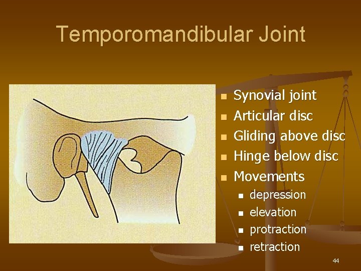 Temporomandibular Joint n n n Synovial joint Articular disc Gliding above disc Hinge below