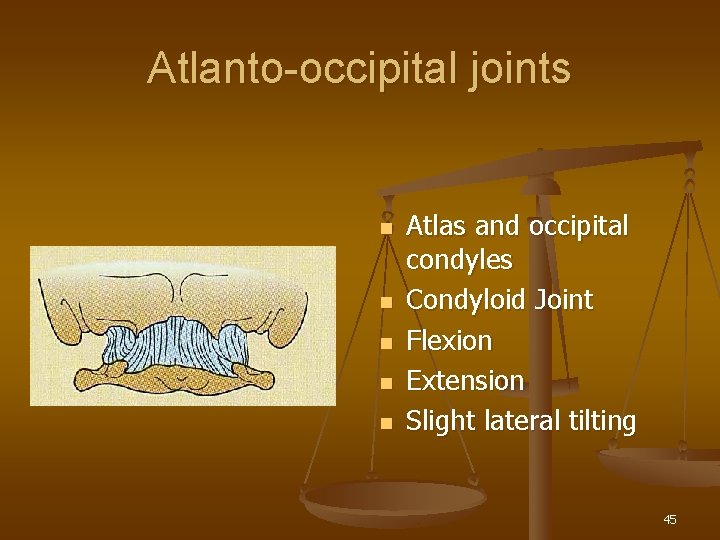 Atlanto-occipital joints n n n Atlas and occipital condyles Condyloid Joint Flexion Extension Slight