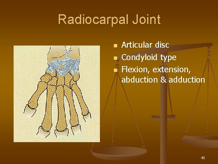 Radiocarpal Joint n n n Articular disc Condyloid type Flexion, extension, abduction & adduction