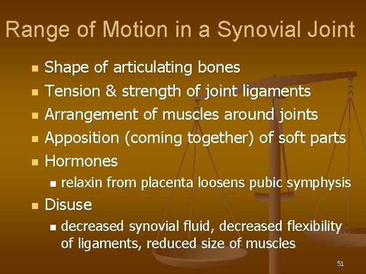 Range of Motion in a Synovial Joint n n n Shape of articulating bones