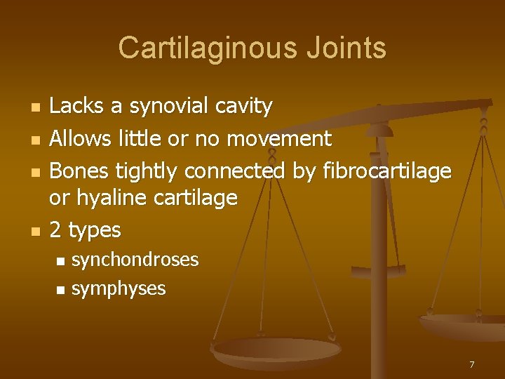 Cartilaginous Joints n n Lacks a synovial cavity Allows little or no movement Bones